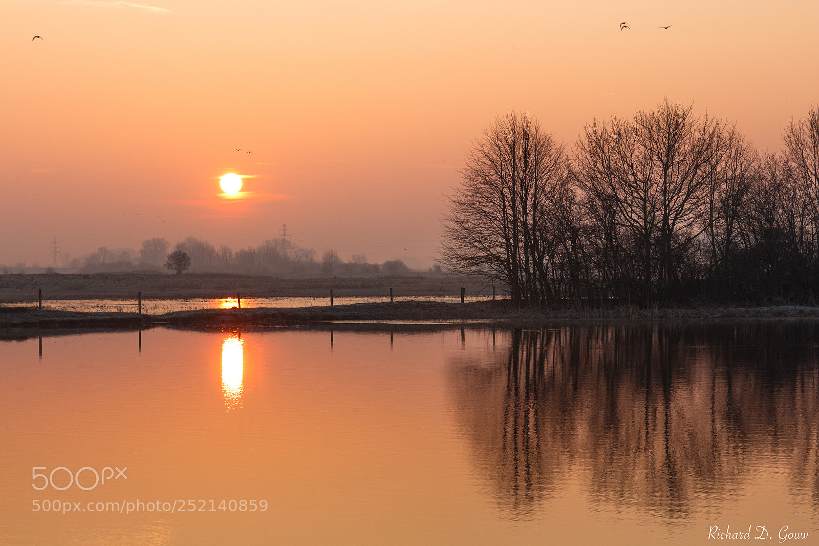 Canon EOS 700D (EOS Rebel T5i / EOS Kiss X7i) sample photo. Orange morning photography