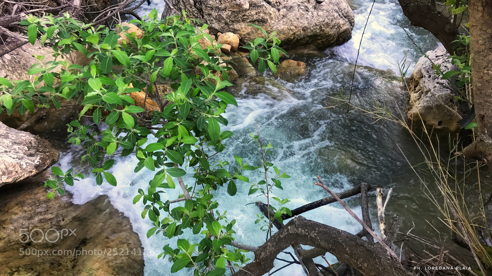 Apple iPhone 7 sample photo. Untitled photography