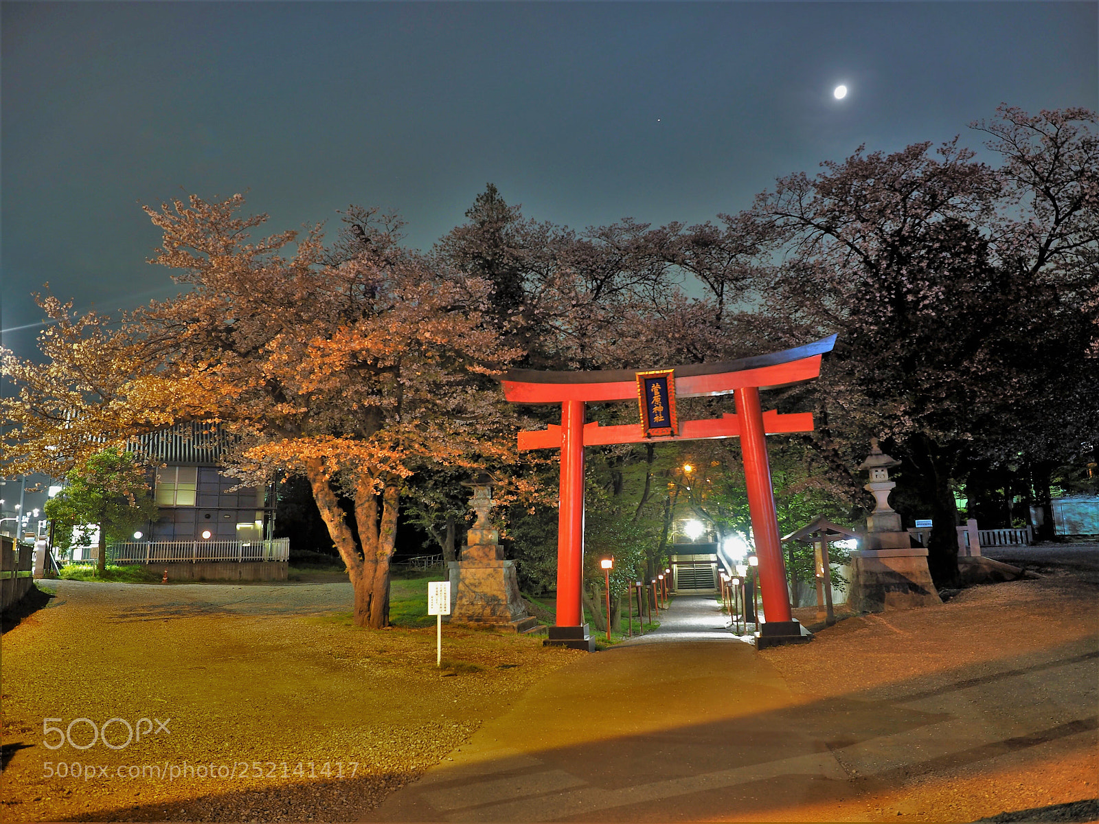 Olympus OM-D E-M1 sample photo. 月夜の参道　moonlight approach photography
