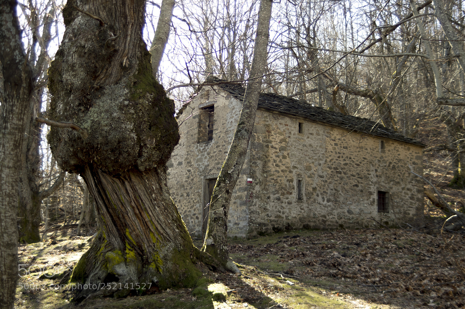 Pentax K-r sample photo. Casone antico essiccatoio per photography