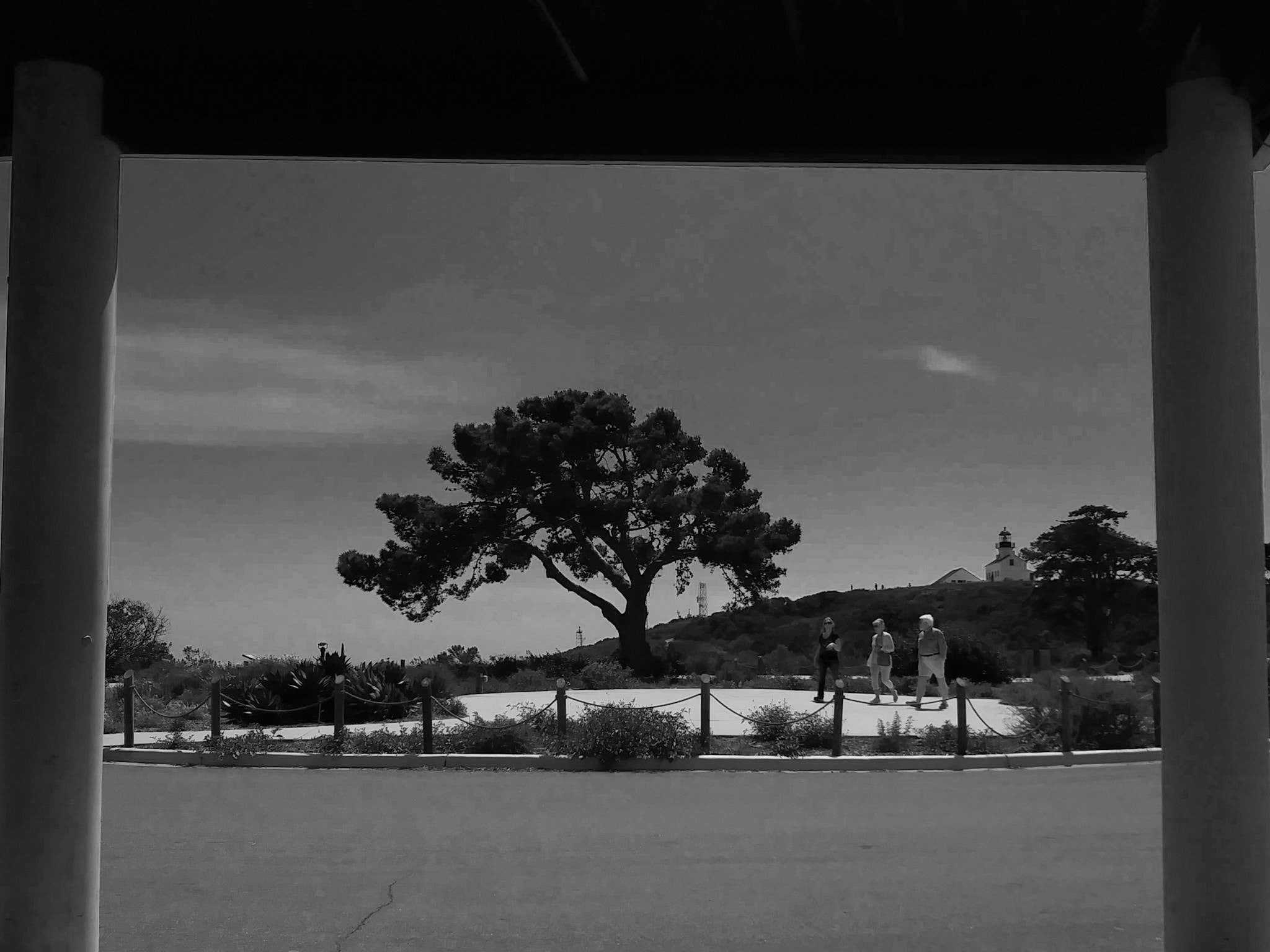 LG ARISTO sample photo. Natural framing photography