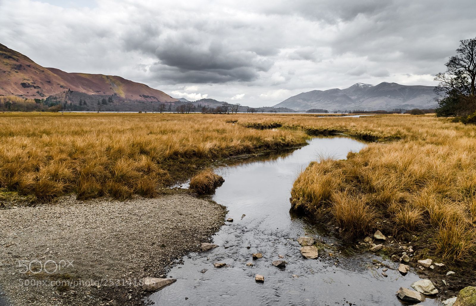 Nikon D810 sample photo. Derwent  photography