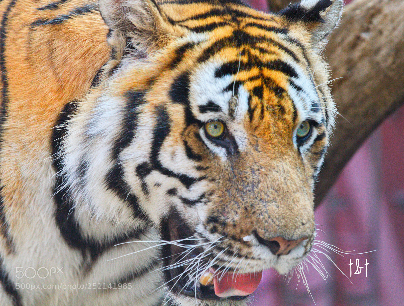 Canon EOS 7D sample photo. Untitled photography