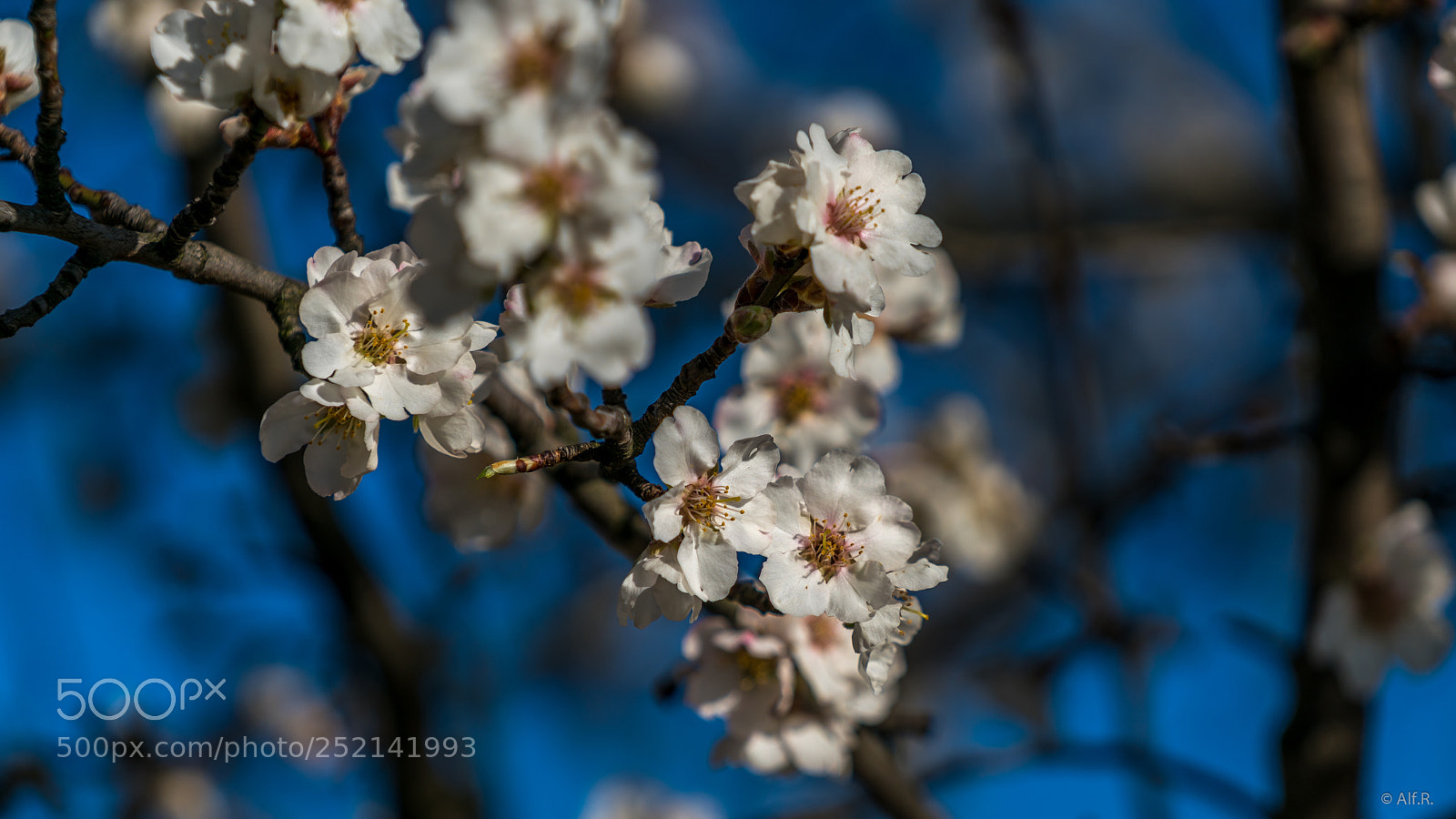 Sony a7R II sample photo. This is the wachau photography