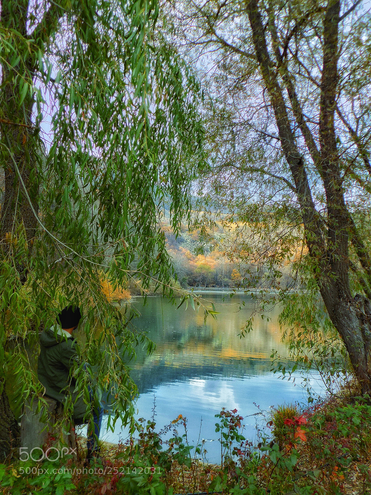 Nikon COOLPIX L340 sample photo. Serenity photography