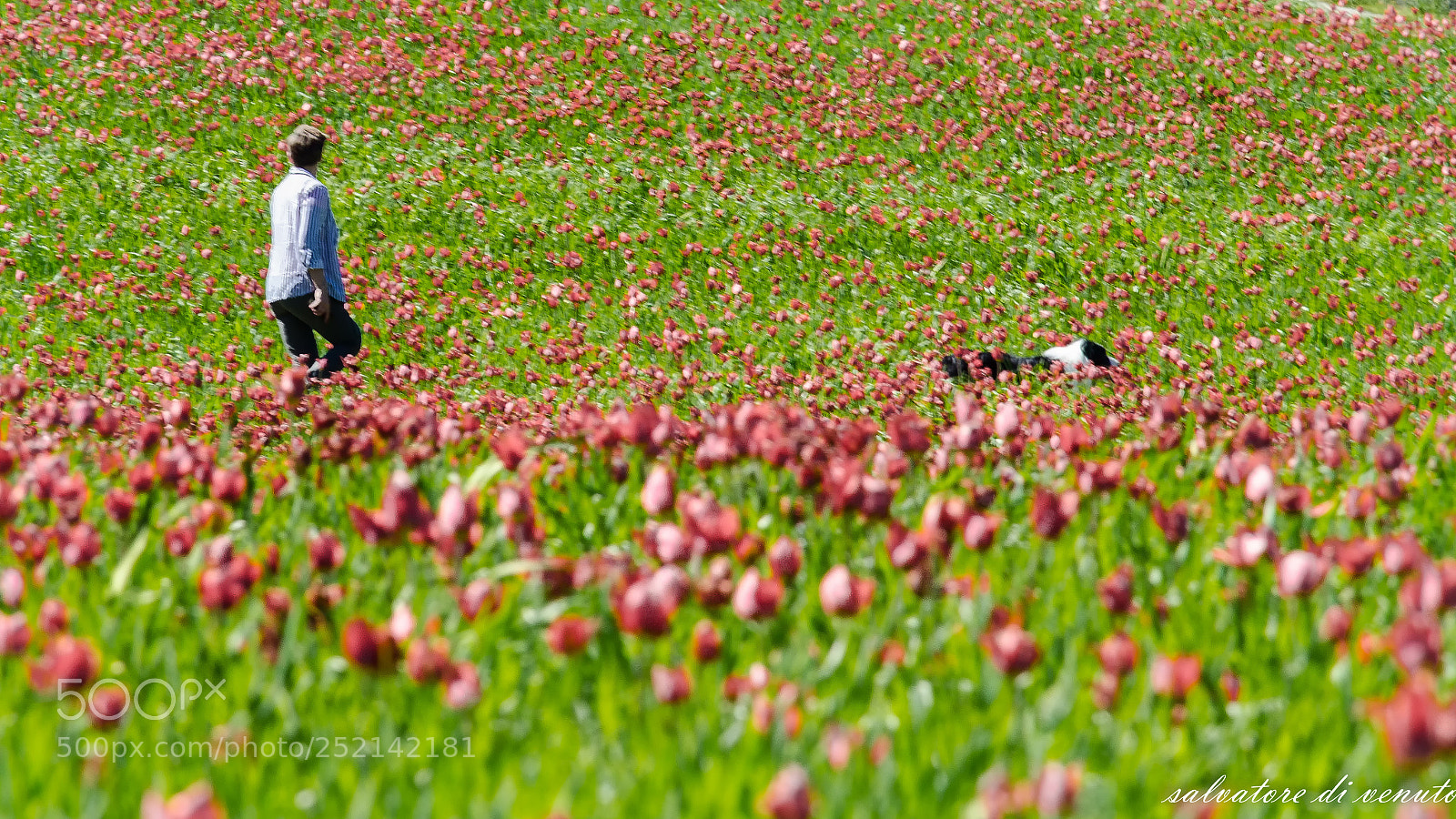 Nikon D7000 sample photo. Composizione fotografica ,,,, e photography
