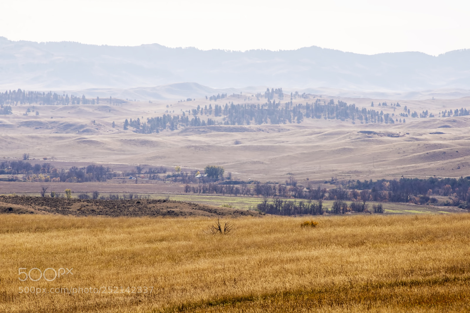 Nikon D600 sample photo. Valley view (1) photography
