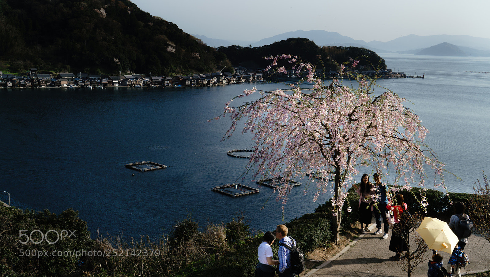 Sony a7R II sample photo. Spring has come to photography