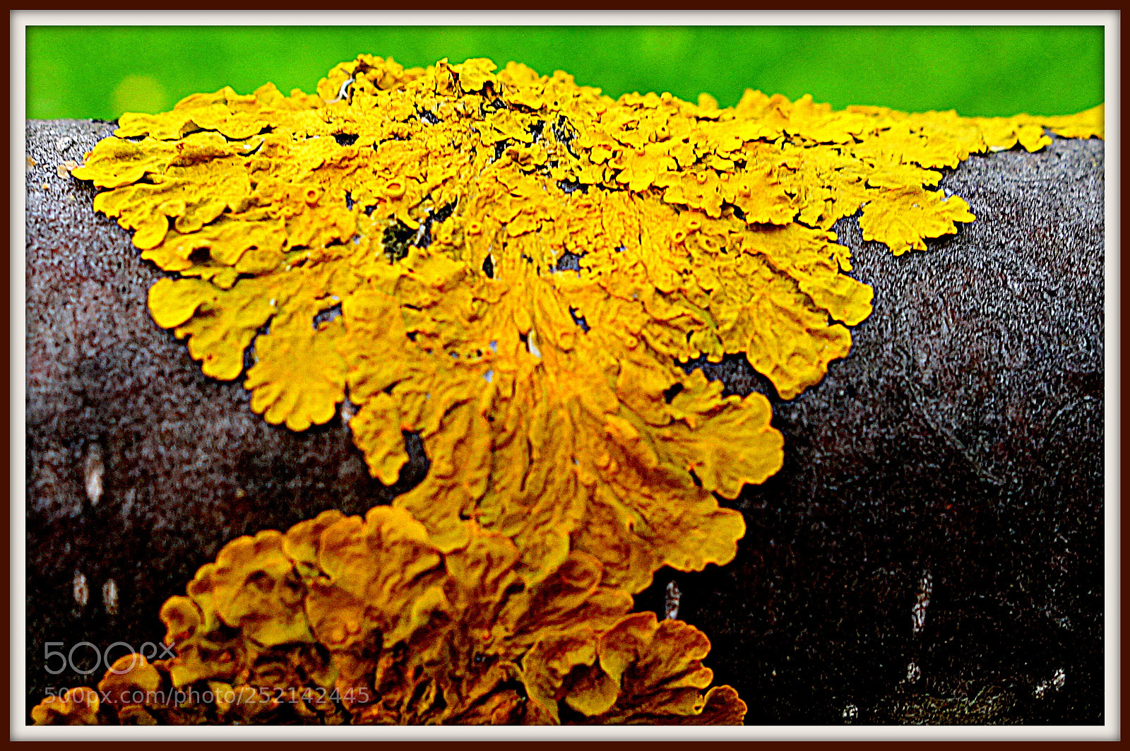 Sony Cyber-shot DSC-RX100 II sample photo. Beaujolais () france couleur photography