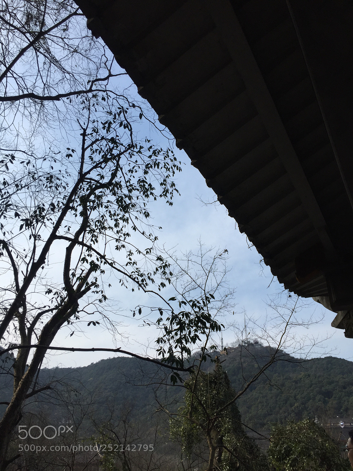Apple iPhone 6 sample photo. Img photography