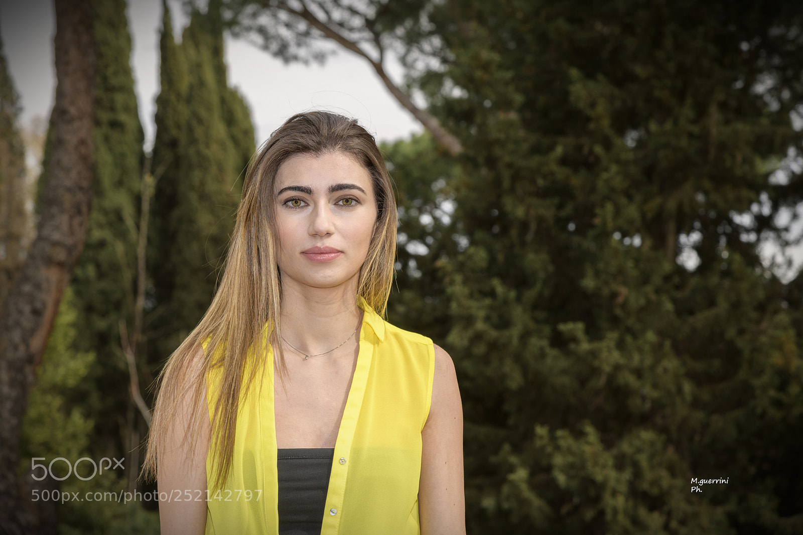Nikon D850 sample photo. Untitled photography