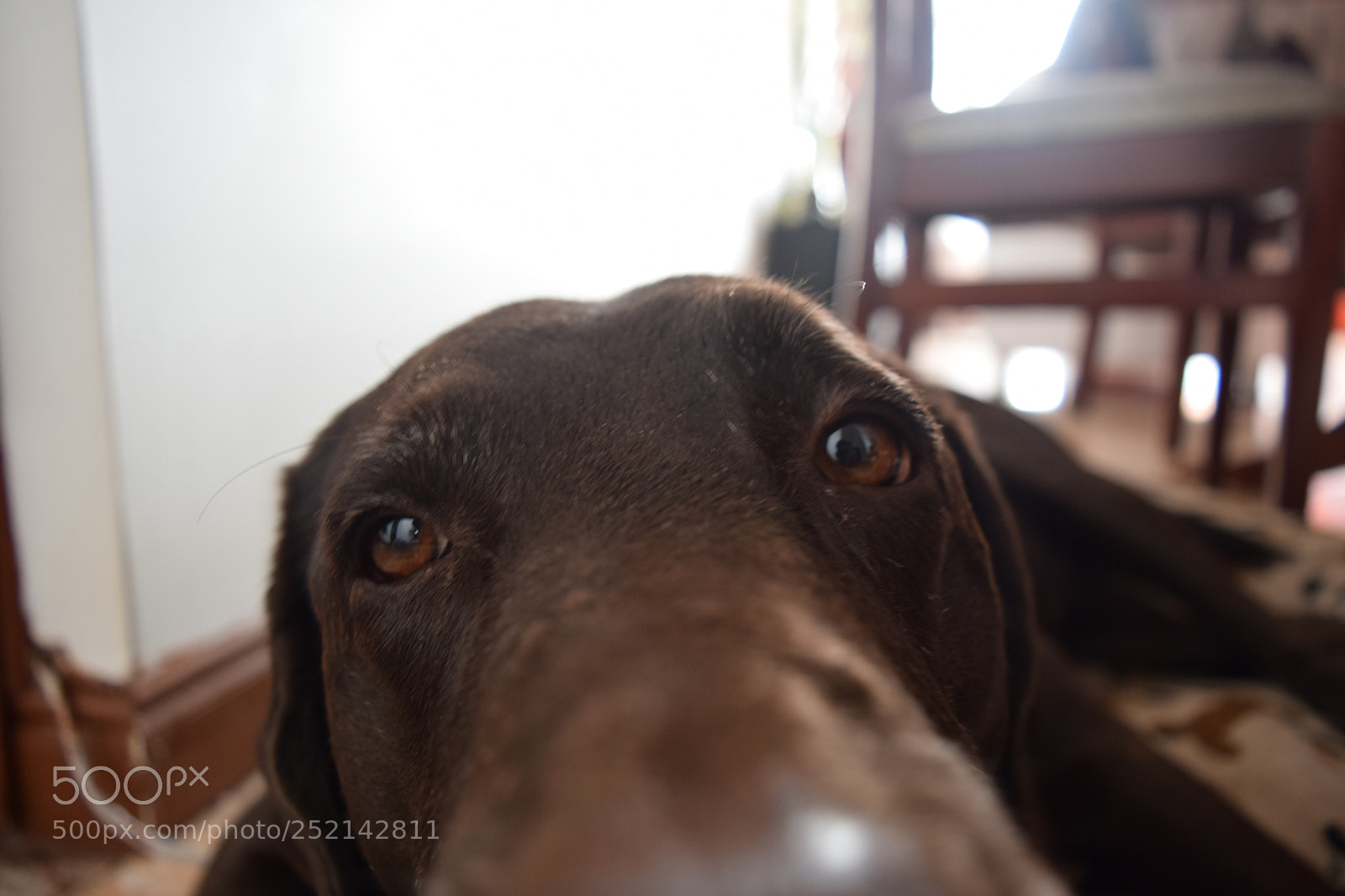 Nikon D5300 sample photo. Hello world! photography