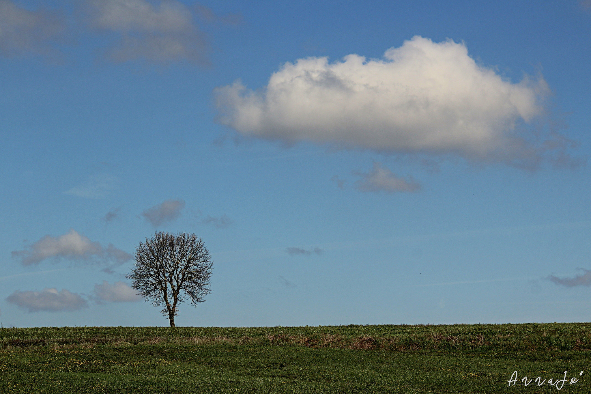 Canon EF-S 18-200mm F3.5-5.6 IS sample photo. Waiting for... photography