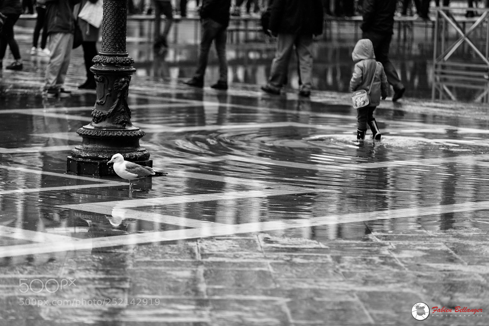 Canon EOS 5D Mark IV sample photo. The child and the photography
