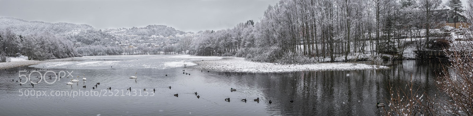 Nikon D5300 sample photo. Late winter photography