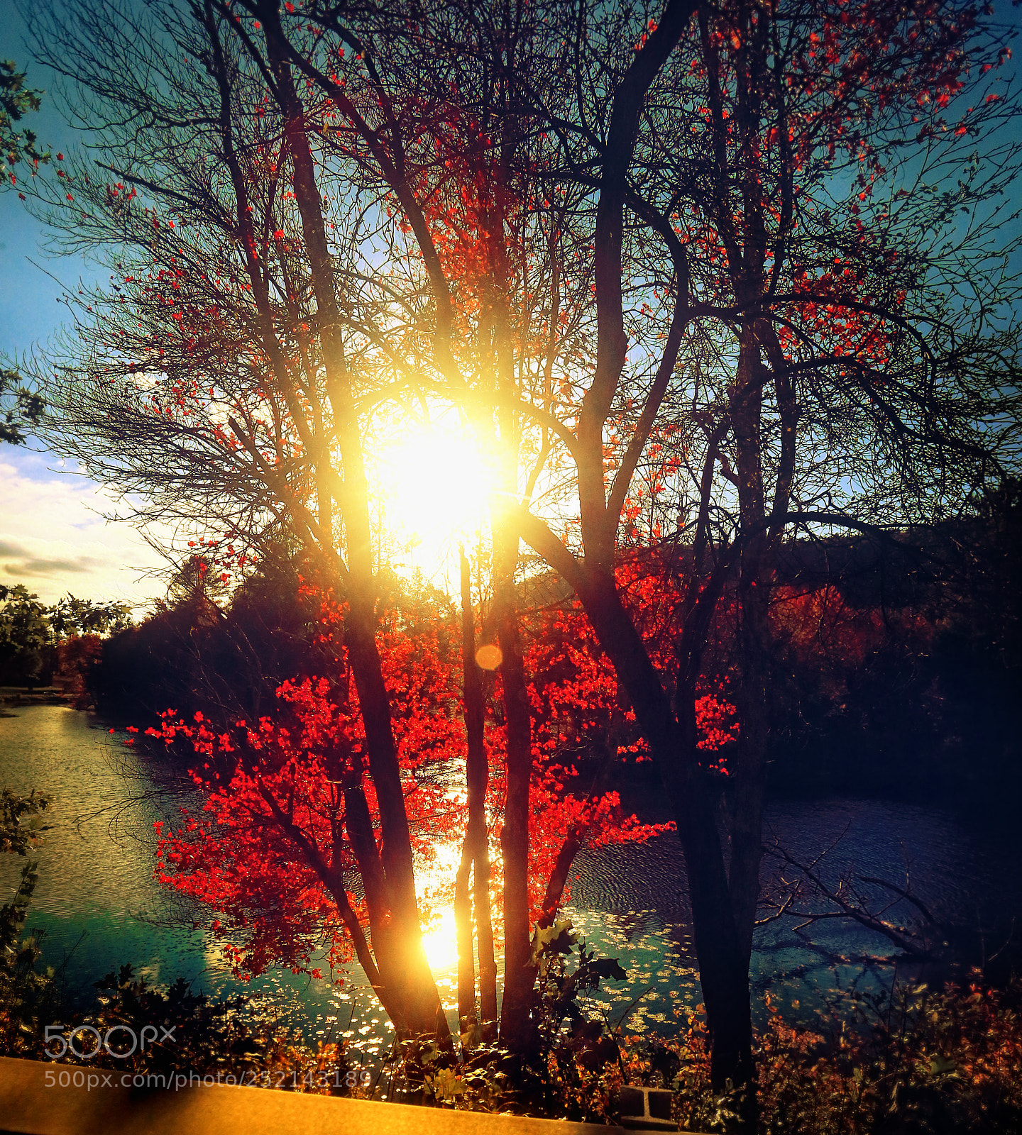 Canon EOS-1D X sample photo. Over the guardrail photography