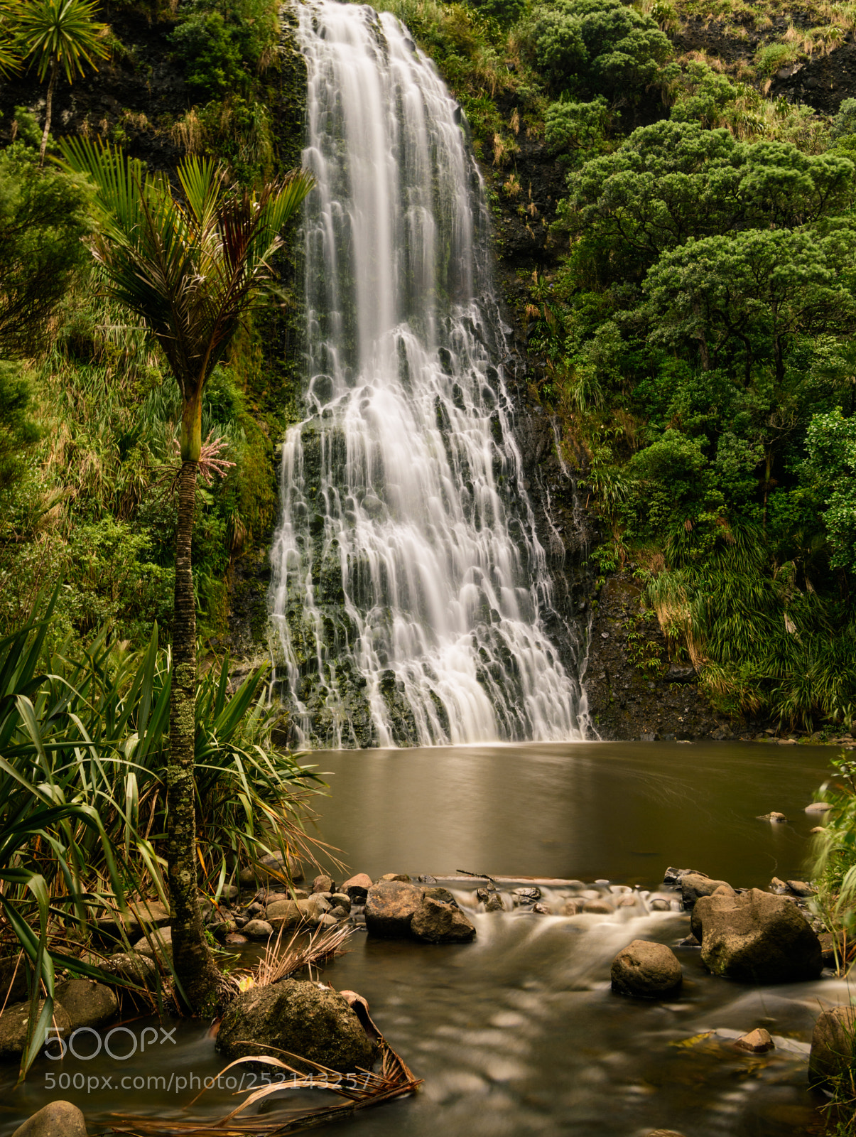 Nikon D7200 sample photo. Karekare waterfall photography