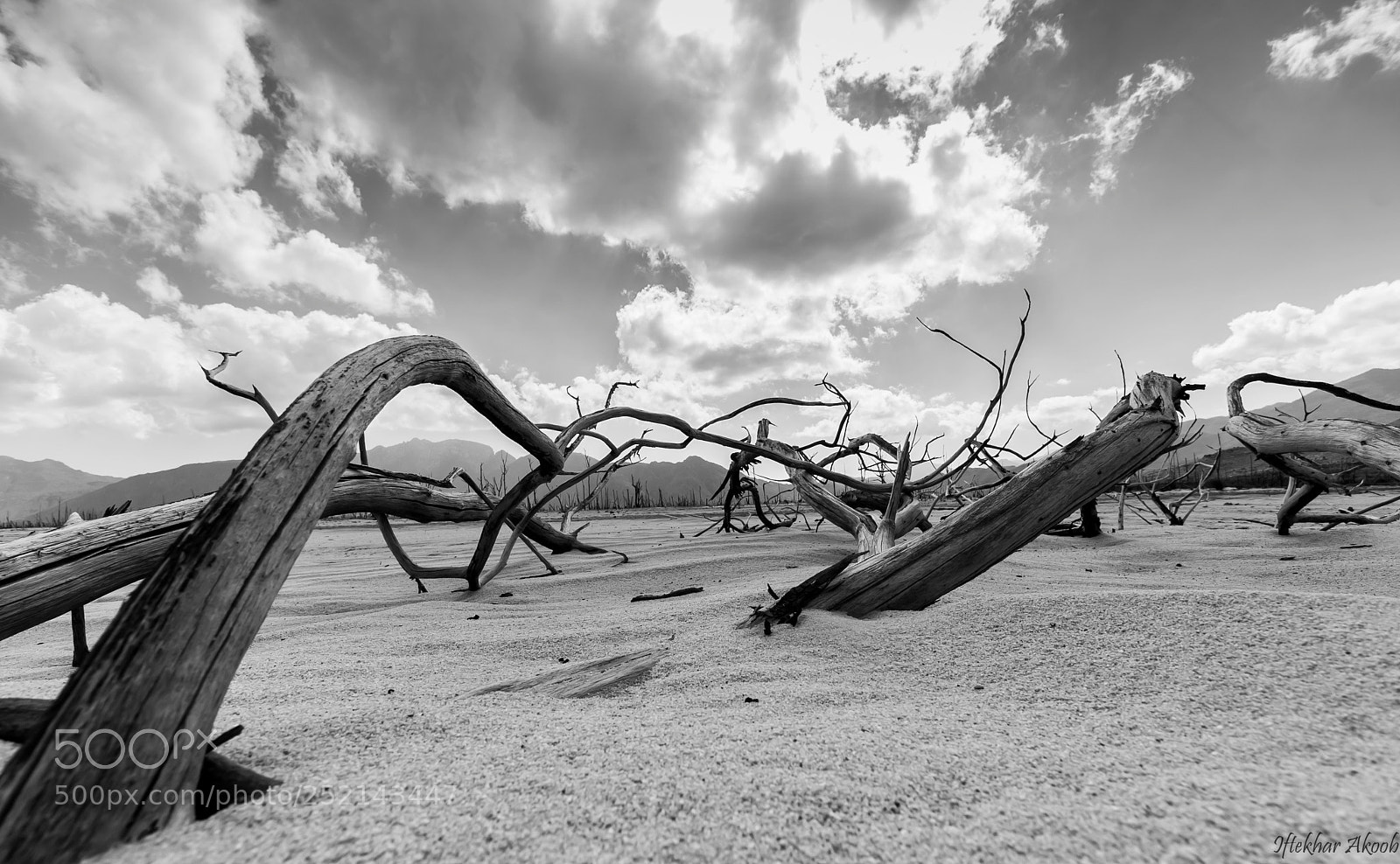 Canon EOS 30D sample photo. I wood photography