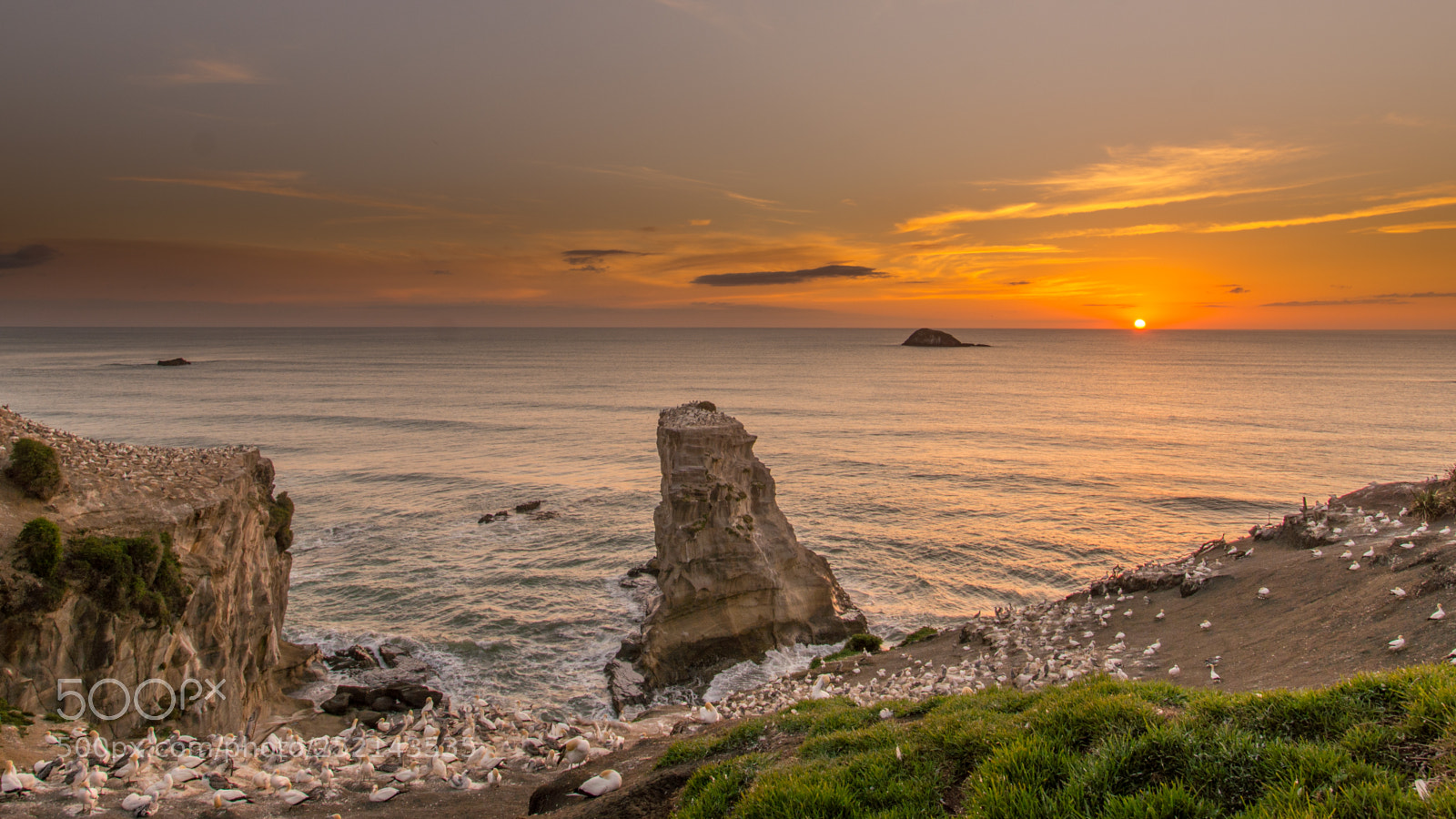 Nikon D7200 sample photo. Muriwai sunset photography