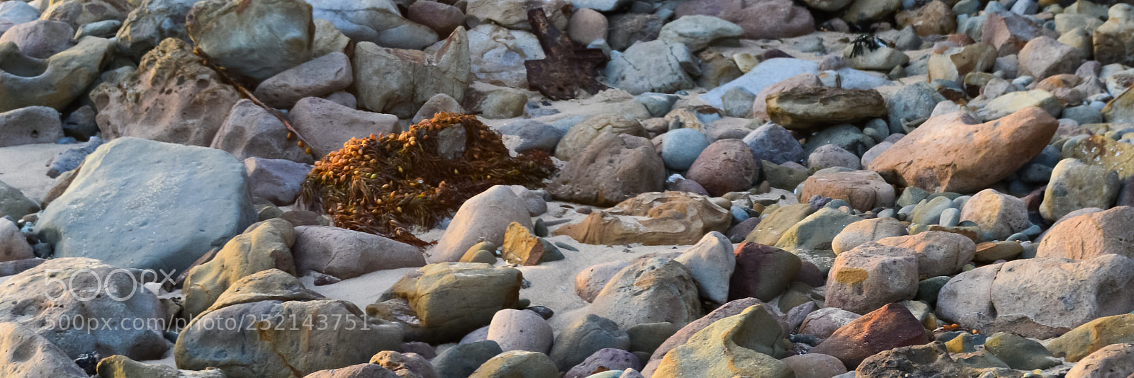 Nikon D3200 sample photo. Lonely flotsam photography