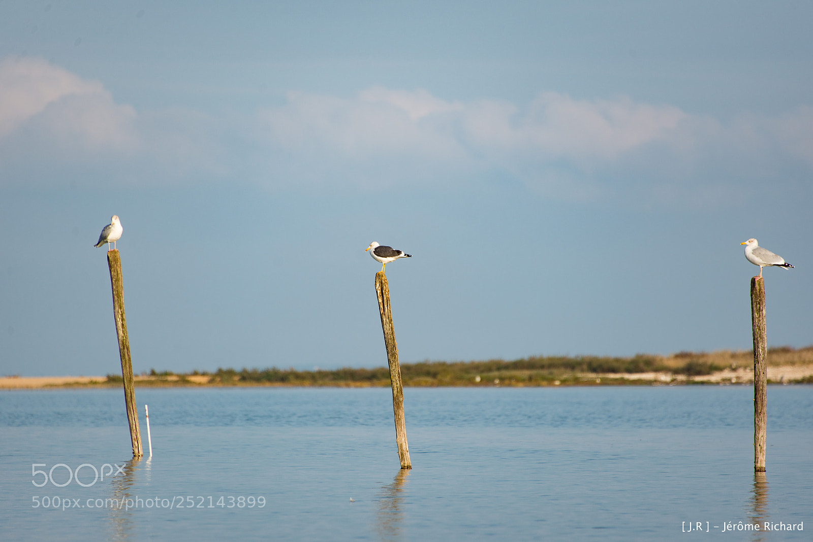 Nikon D610 sample photo. Oleron novembre photography