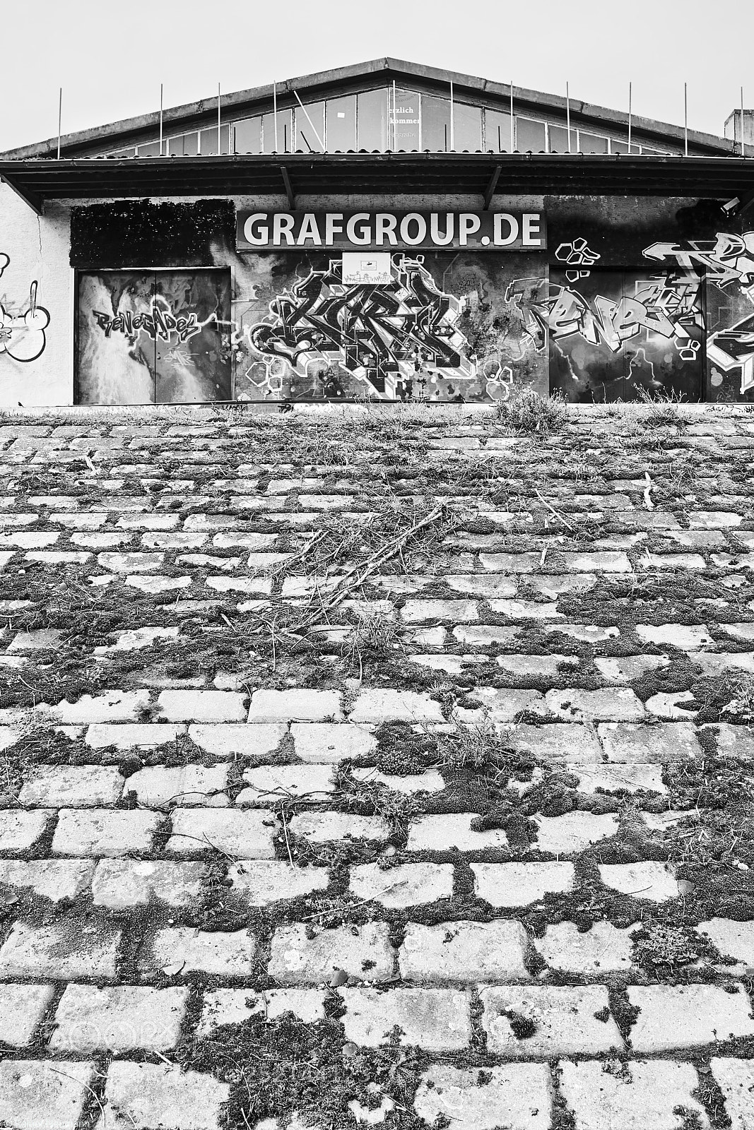 Sony Cyber-shot DSC-RX1R II sample photo. Jungbusch b&w photography
