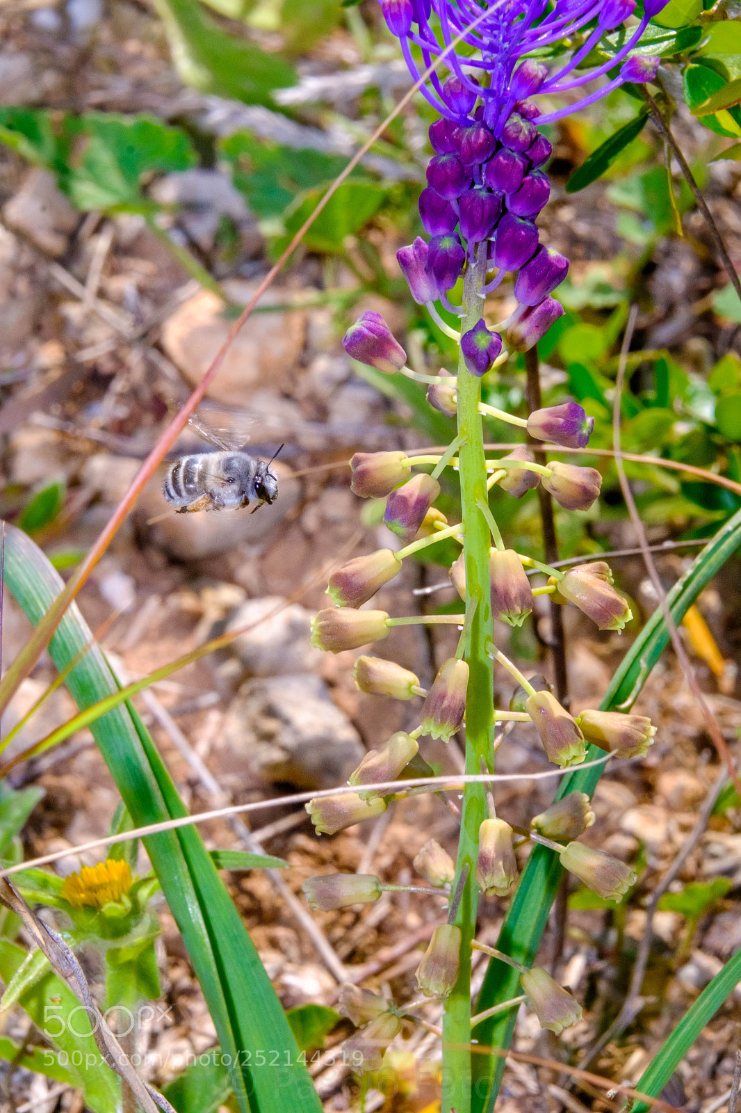 Fujifilm X-T1 sample photo. Untitled photography