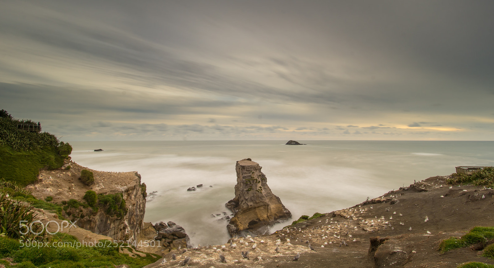 Nikon D7200 sample photo. Muriwai photography
