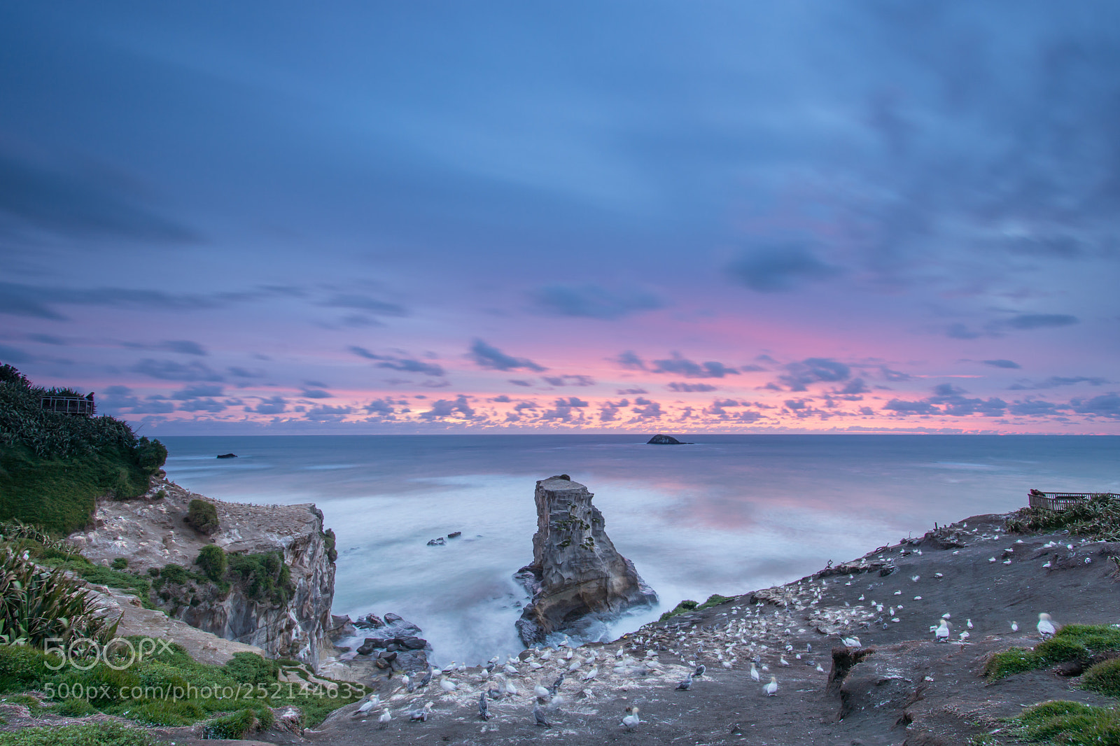 Nikon D7200 sample photo. Muriwai blue hour photography