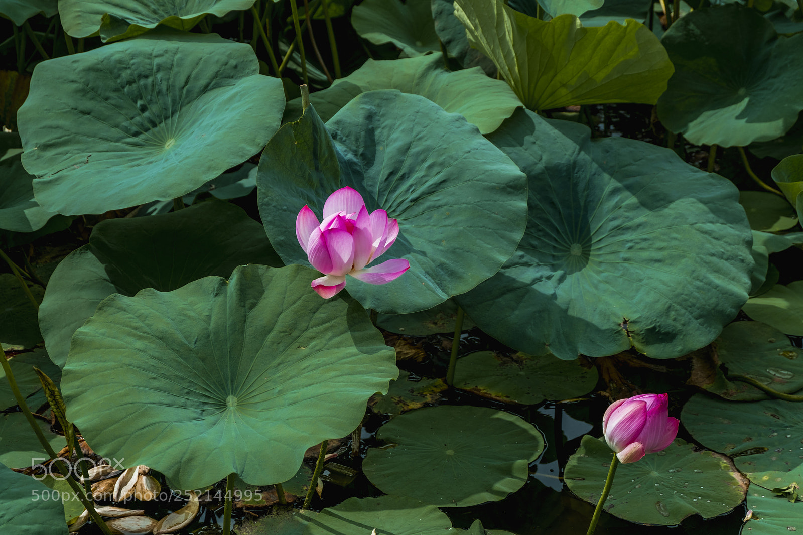Fujifilm X-T20 sample photo. Untitled photography