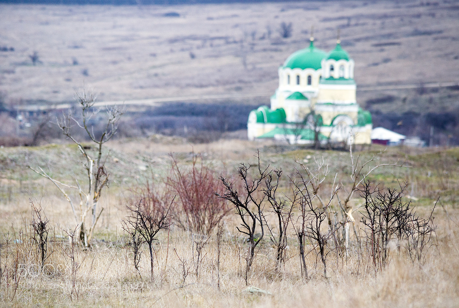 Nikon D3100 sample photo. как смарт объект photography
