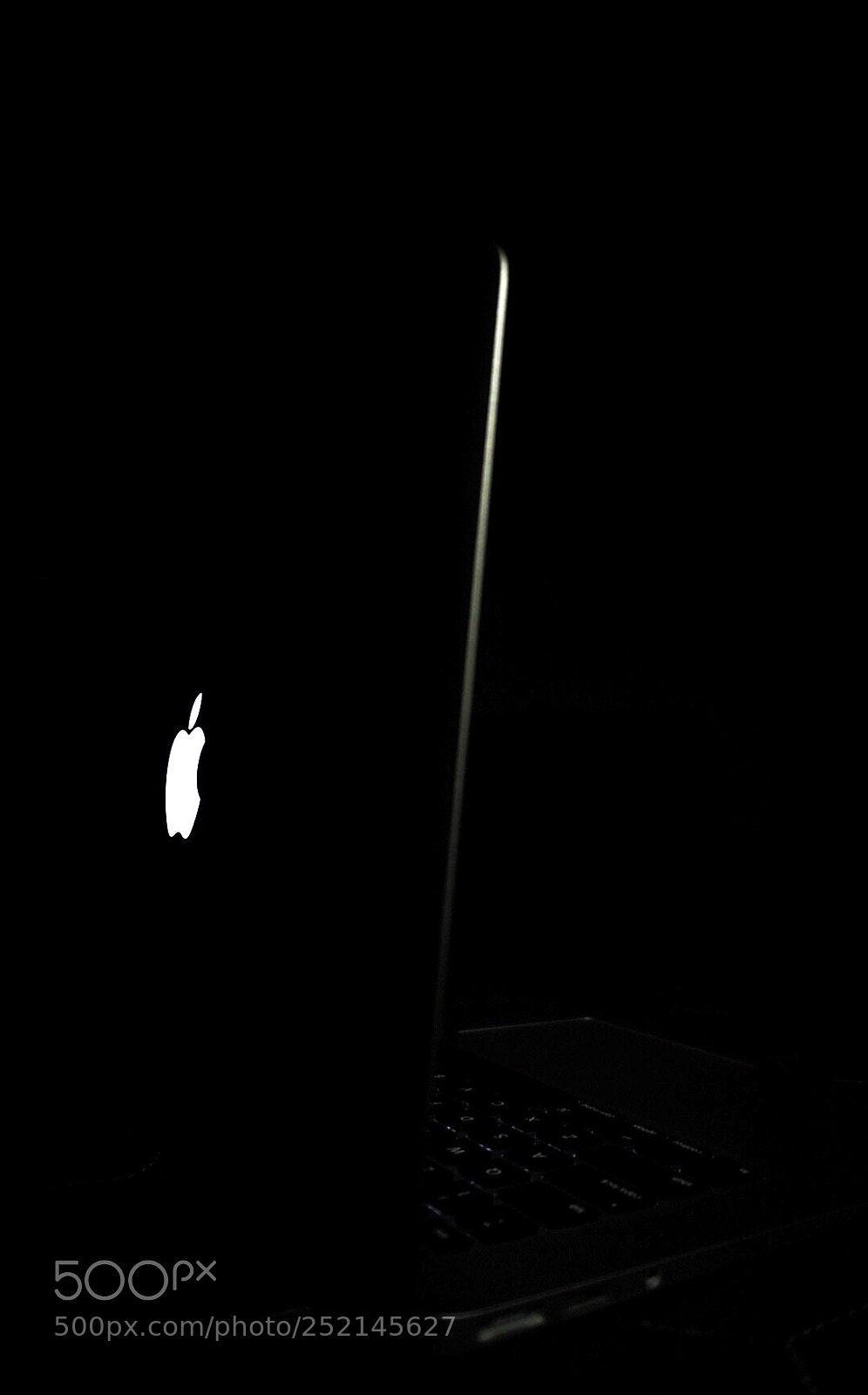 Sony a5100 sample photo. Untitled photography