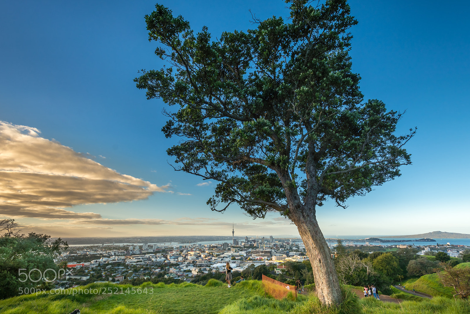 Nikon D7200 sample photo. Maungawhau sunset photography