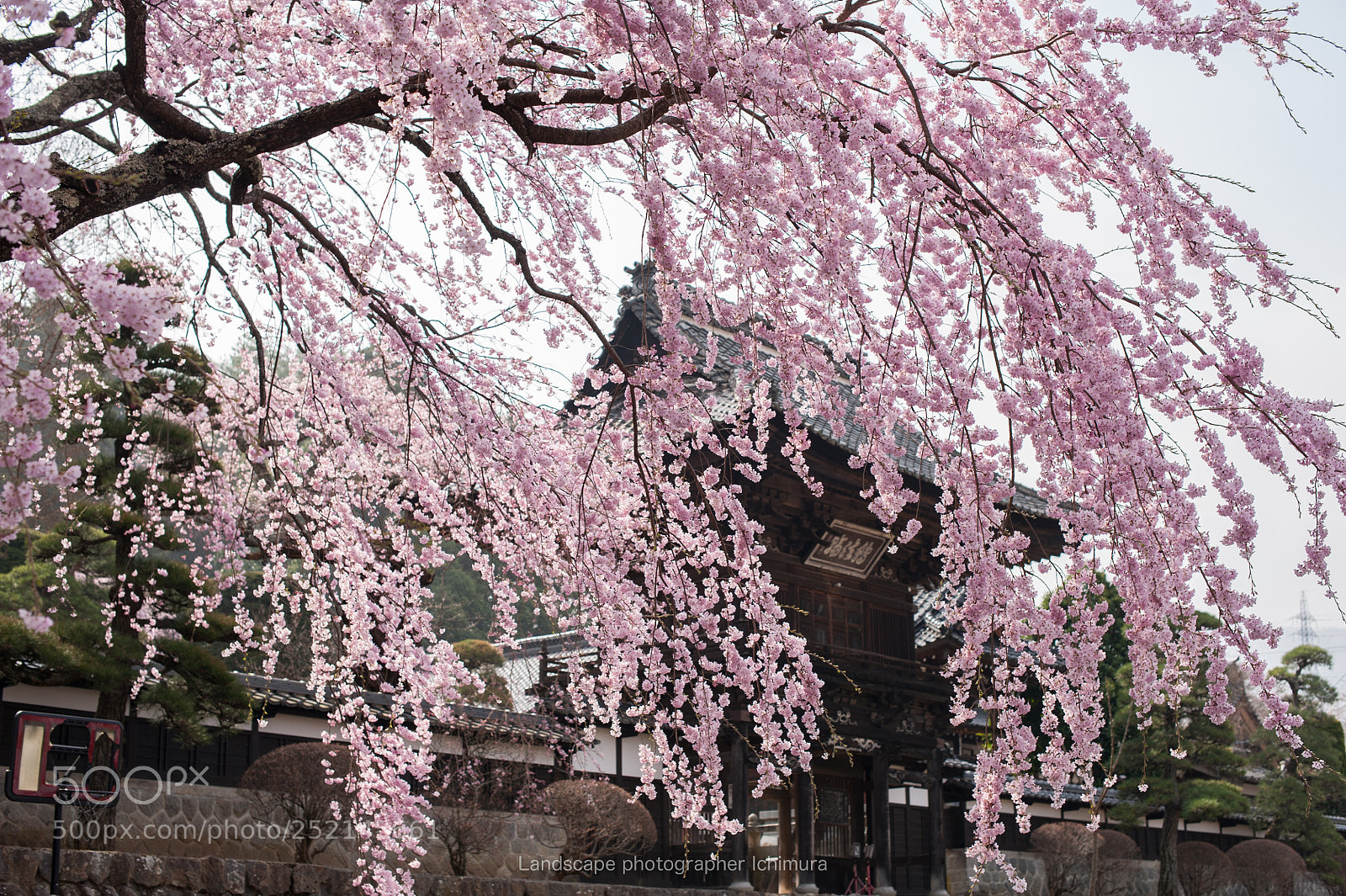 Nikon D700 sample photo. Japanese beauty photography