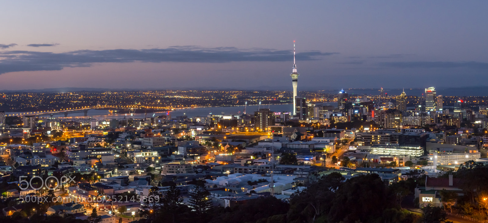 Nikon D7200 sample photo. Auckland city lights photography