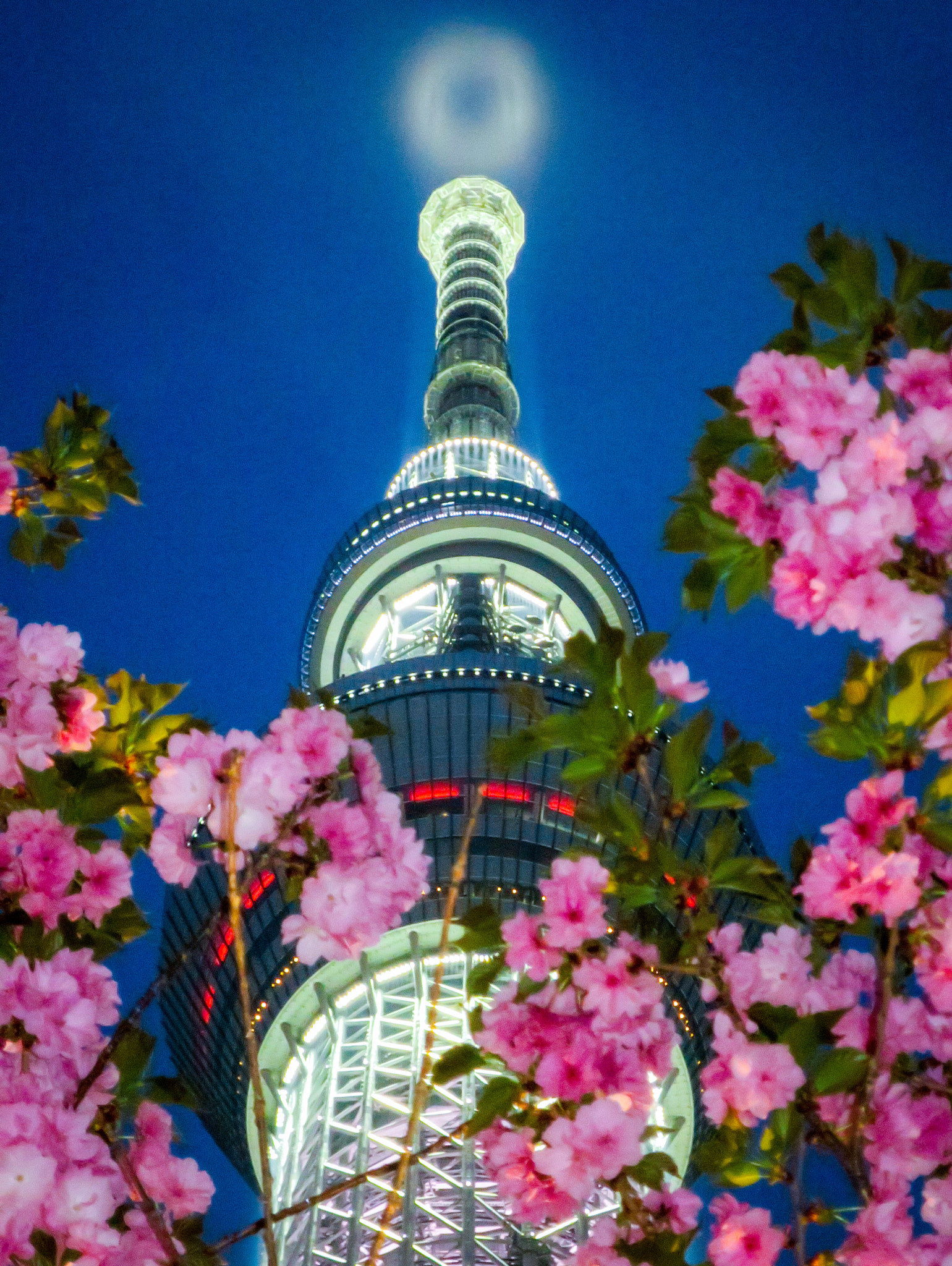 Canon PowerShot S120 sample photo. Tokyo skytree and cherry blossoms photography