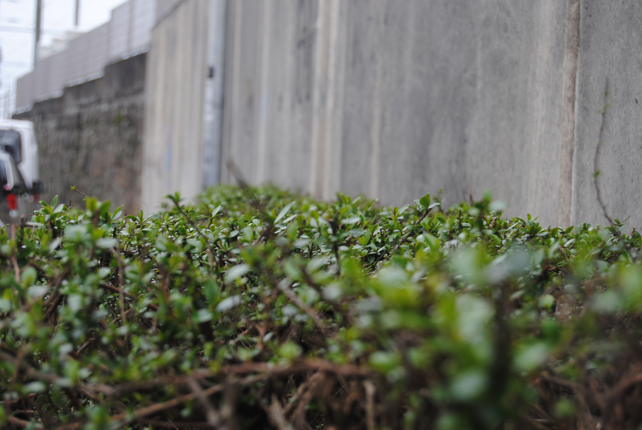 Nikon D3000 sample photo. Man made nature photography