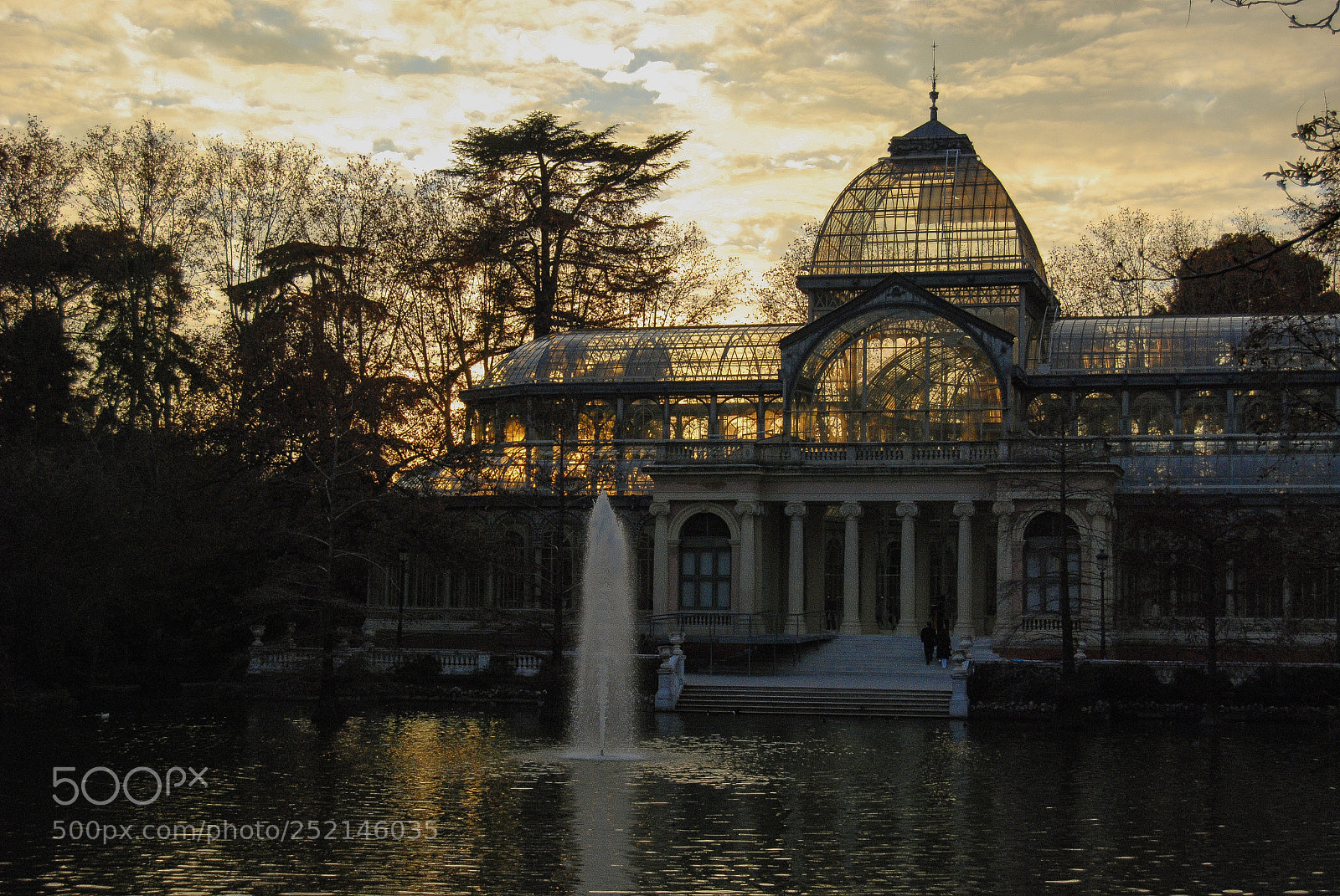 Nikon D80 sample photo. Golden madrid photography