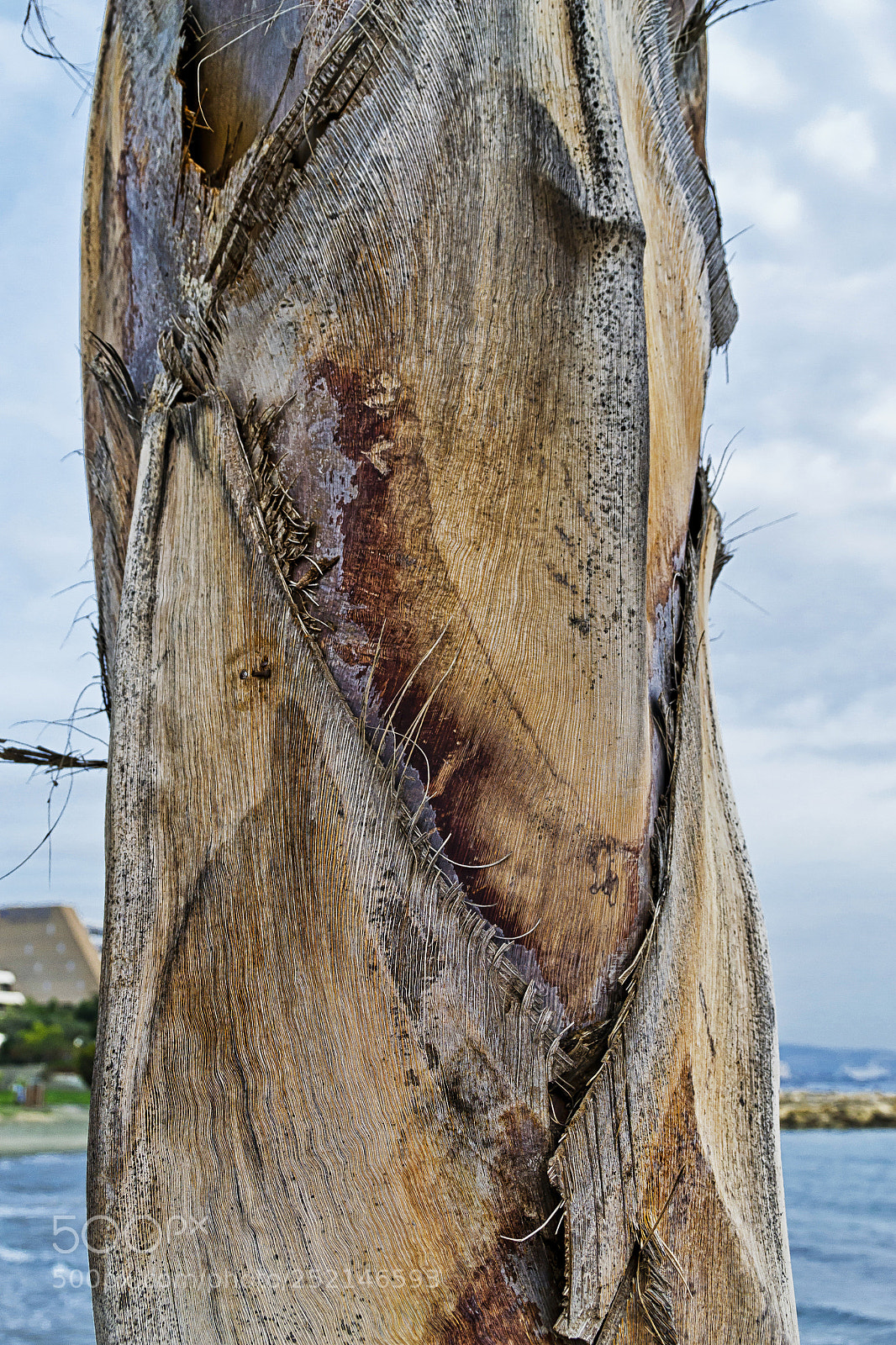 Nikon D3100 sample photo. Cyprus photography