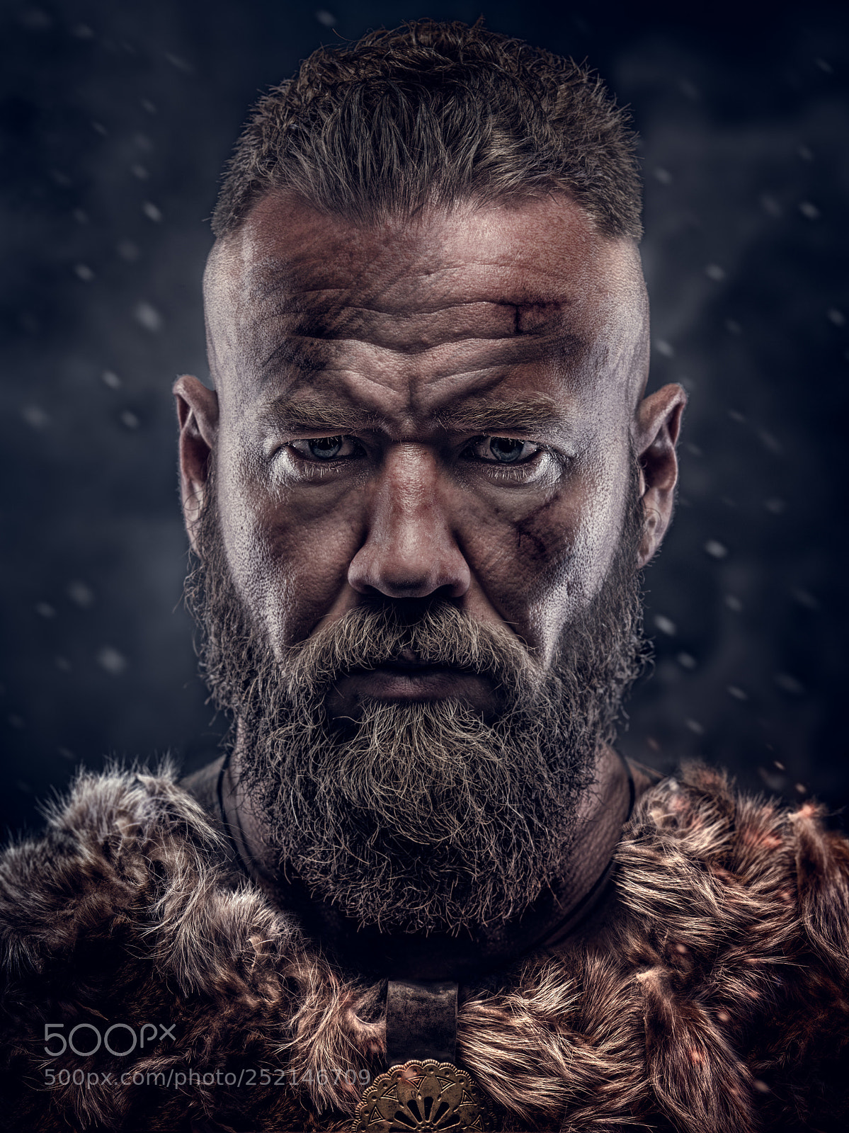 Nikon D800 sample photo. Viking photography