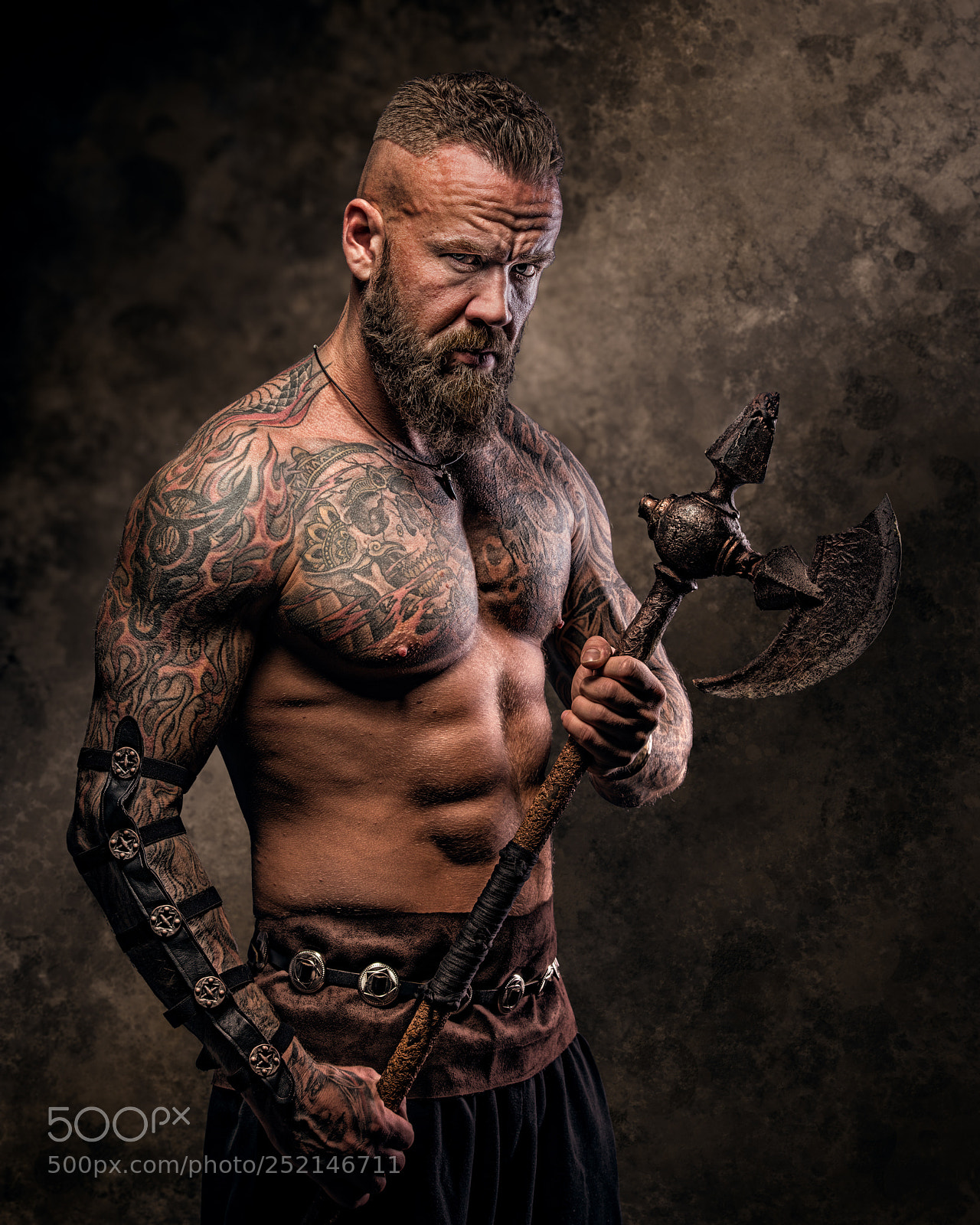 Nikon D800 sample photo. Viking stare photography