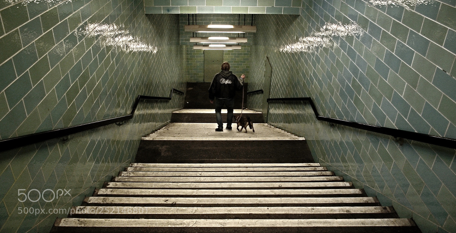 Nikon D7000 sample photo. Street dog with man photography