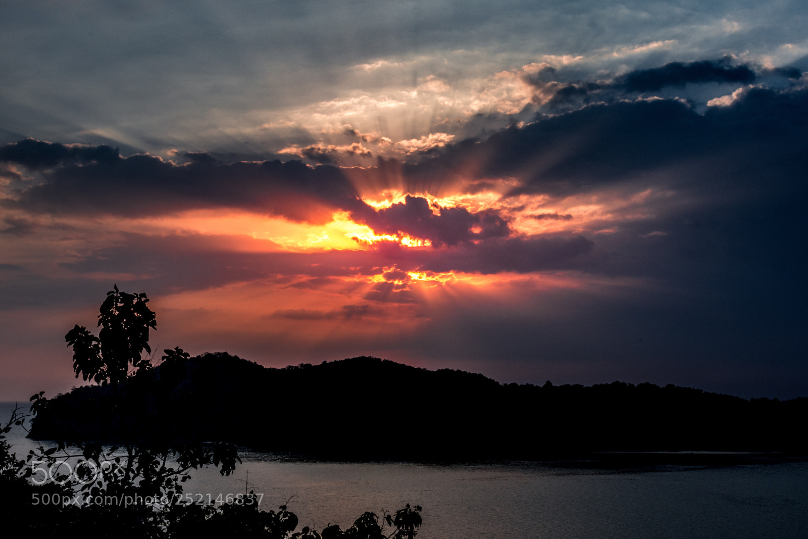 Nikon D7200 sample photo. Peek-a-boo ii photography