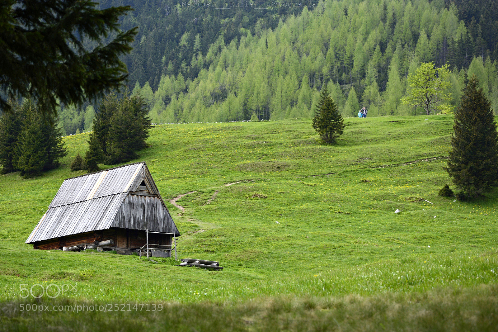 Nikon D5200 sample photo. In the mountains. photography