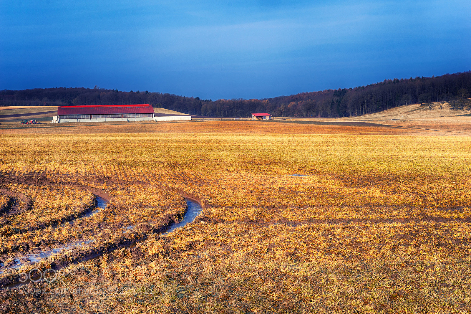 Sony a7 sample photo. Rural landscape view in photography