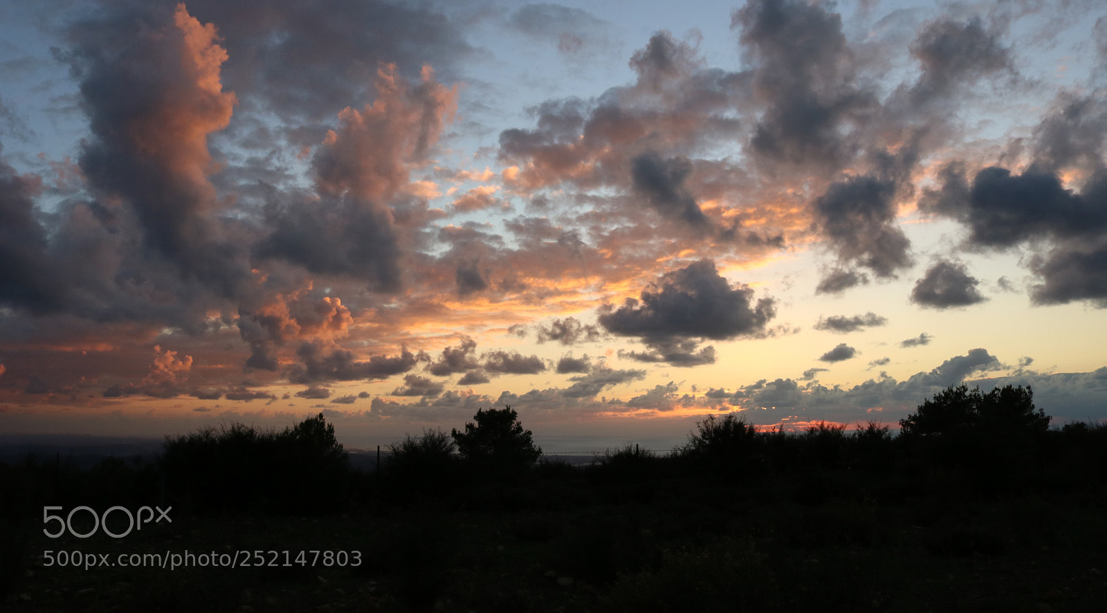 Canon EOS 750D (EOS Rebel T6i / EOS Kiss X8i) sample photo. Nature peace photography