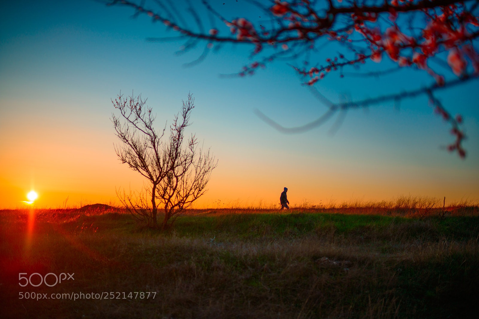 Nikon D800 sample photo. Вечерняя прогулка photography