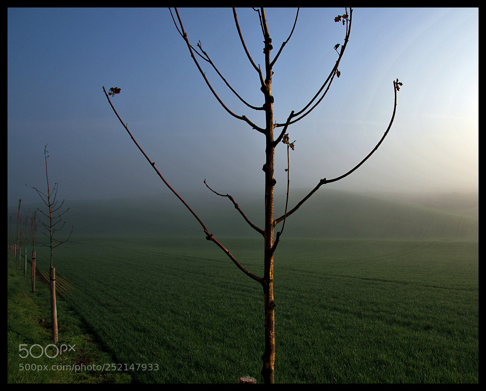 Pentax K-5 IIs sample photo. Iis photography