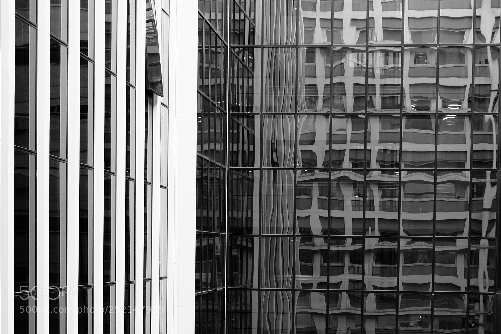 Fujifilm X-E2 sample photo. Zebra building and woobling photography