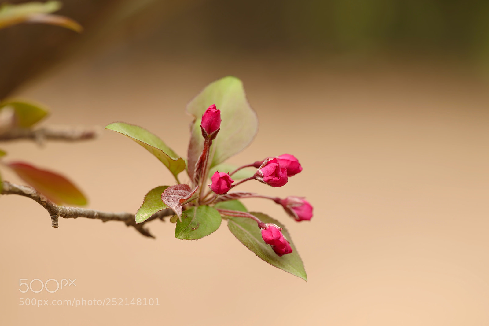 Leica SL (Typ 601) sample photo. Untitled photography